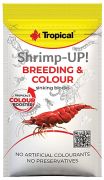 Tropical Shrimp-Up! Breeding & Colour
