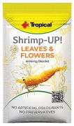 Tropical Shrimp-Up! Leaves & Flowers