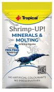 Tropical Shrimp-Up! Minerals & Molting