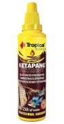 Tropical Ketapang Extract