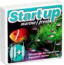 Prodibio Start up