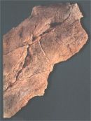 Back to Nature Modul E 60 x 47 x 11 cm