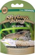 Dennerle Shrimp King Atyopsis