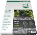 Dennerle Baikal Natural Gravel Plantahunter 