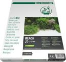 Dennerle Naturkies Plantahunter Beach Dennerle Naturkies Plantahunter Beach
