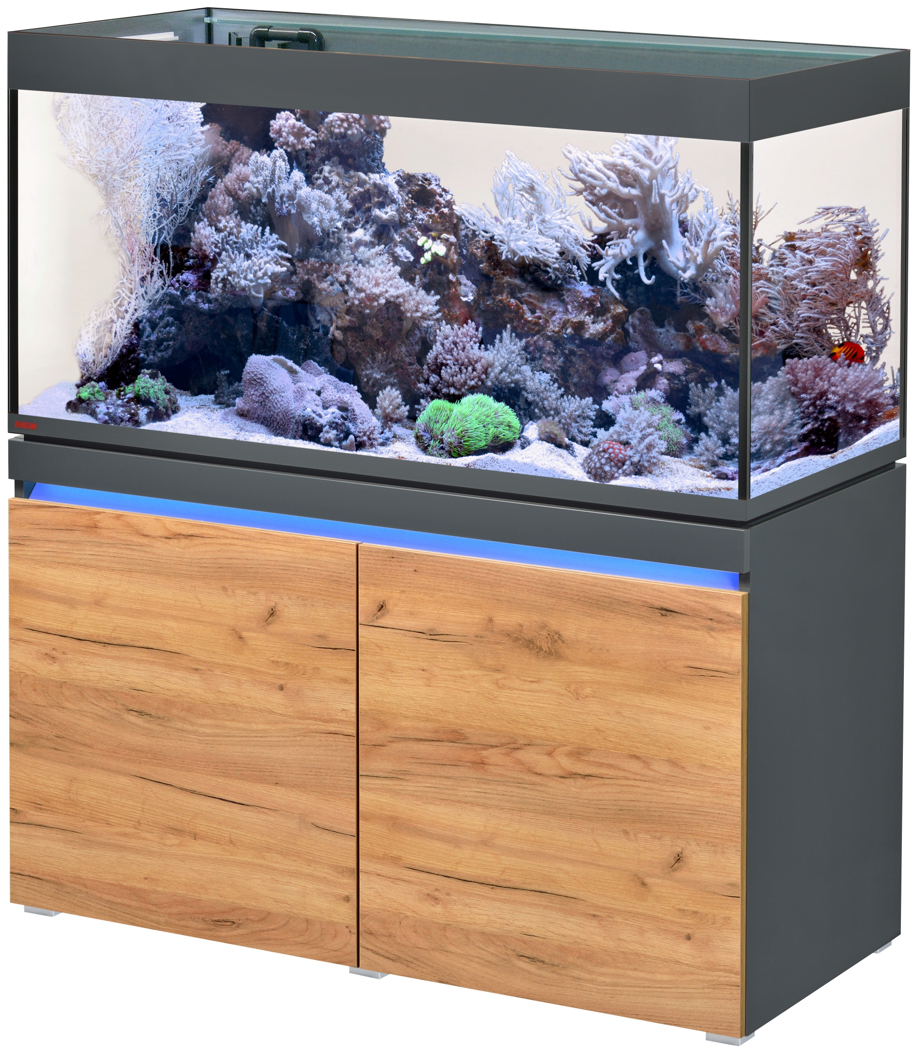 https://www.aquaristikshop.com/pictures_xxl/420081.jpg